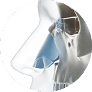 Хамрын мэс засал. Хамрын хэлбэрийг өөрчлөх мэс ажилбарын зураг. Хамрын гоо сайхны мэс засал, хамрын мэс заслын үйл явц.