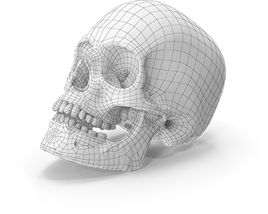 3D загварчлалаар дүрслэгдсэн хүний гавлын ясны хажуугийн хэсэг, нүүр өргөх мэс заслын загварчлал.