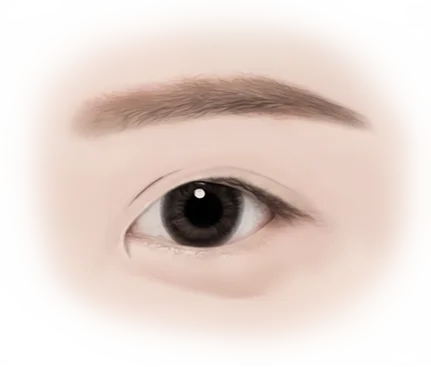 Нүд, хөмсөг, зовхины дээд хэсгийг харуулсан нүүрний хэсгийн зураг; зовхины дээд хэсэгт зовхины мэс засал хийлгэсэн байж болзошгүй.