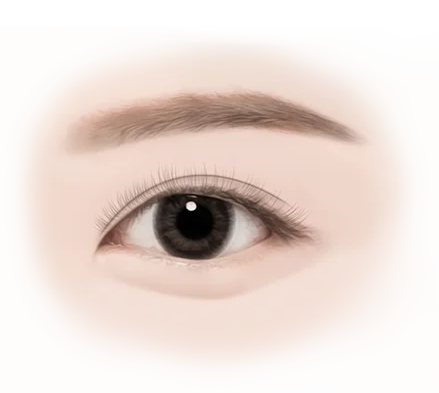 Нүдний контур засах мэс заслын зураг, хөмсөг, сормуус, нүдний хэлбэр, арьсны өнгө үзүүлсэн.