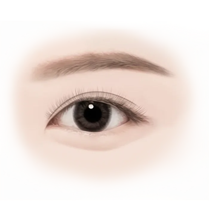 Зургийг нүдний контур, зовхины мэс заслын үр дүнг харуулахад ашиглаж болно.