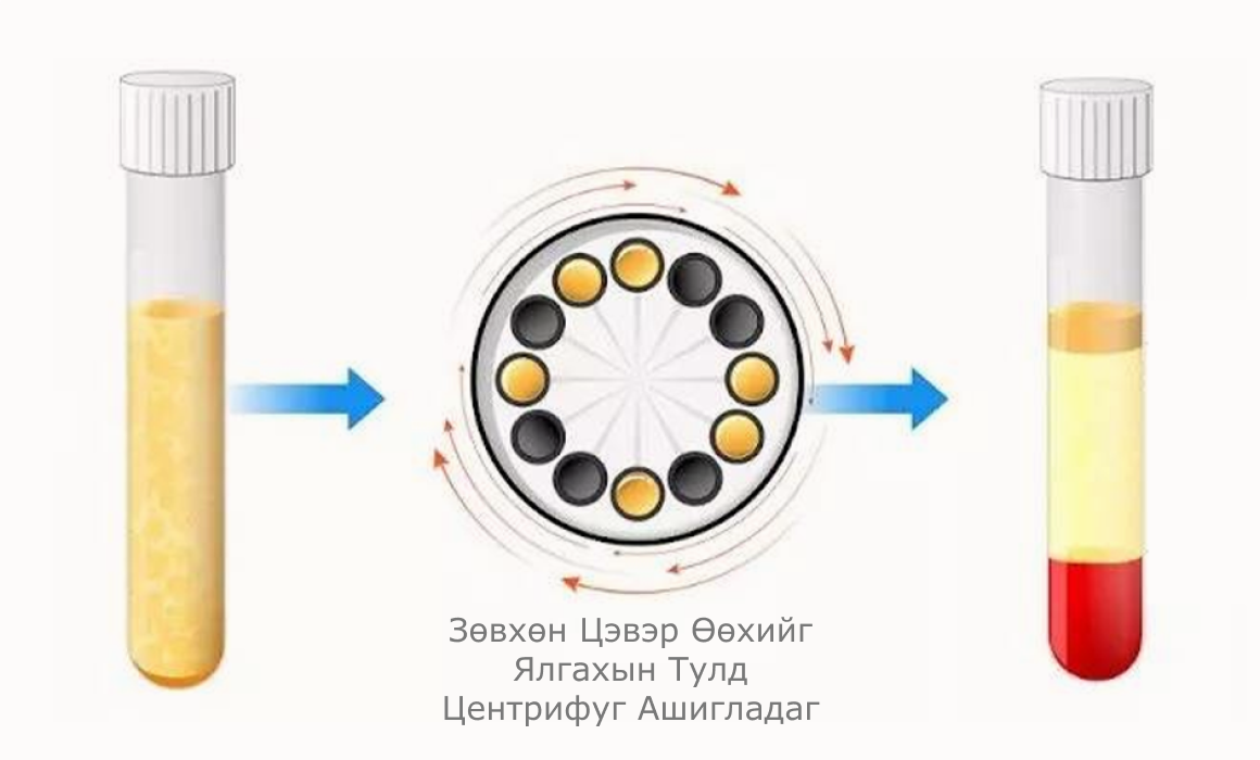 Цусны сийвэнг ялгах центрифугийн үйл явцыг харуулсан зураг. Цусны дээжийг центрифугт хийж, цусны эсүүд сийвэнгээс ялгарч байгааг дүрсэлсэн байна.