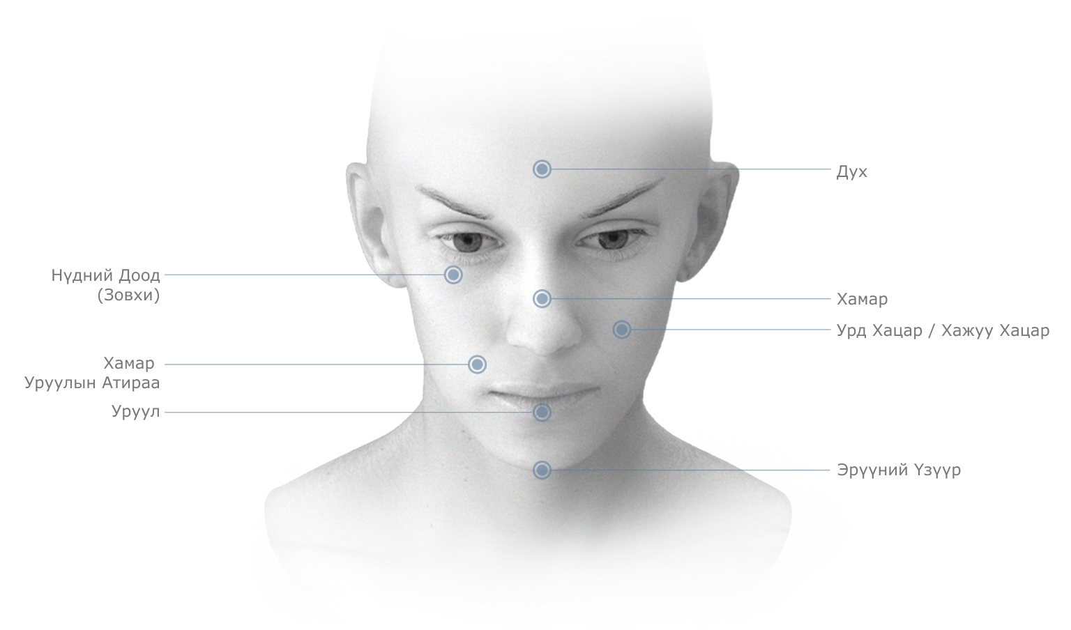 Нүүрний Плюс-Минус лифтинг мэс заслын схемчилсэн зураг, үрчлээ болон арьсны унжилтыг засаж, нүүрний контурыг тодотгоно.